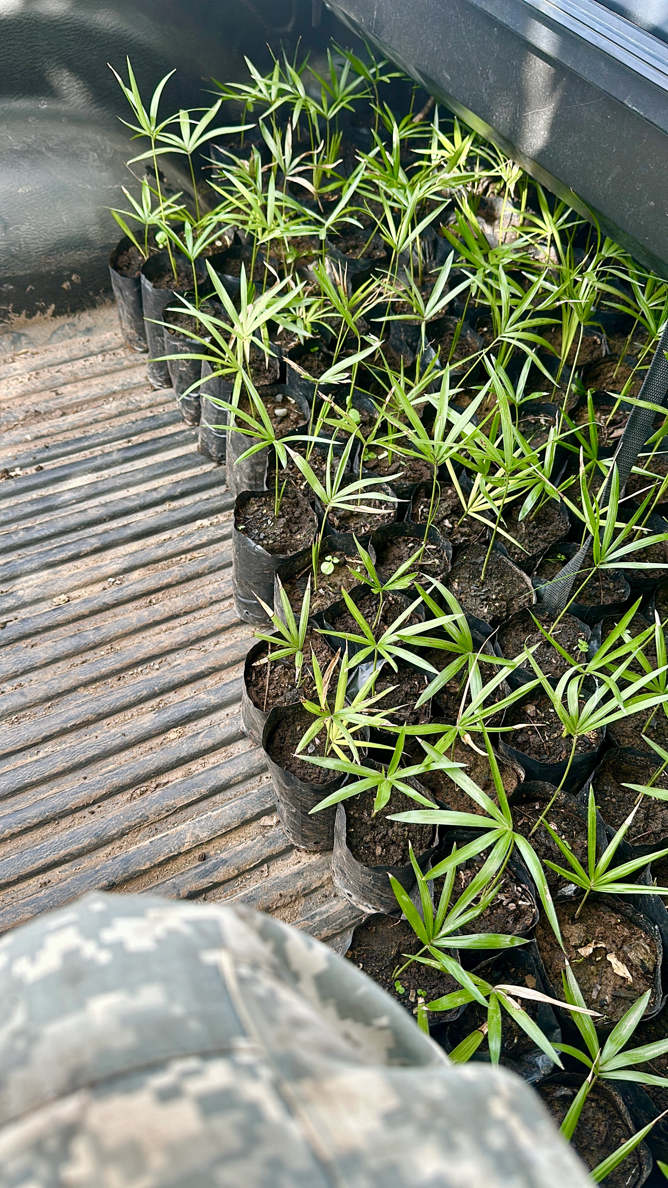 Card example background