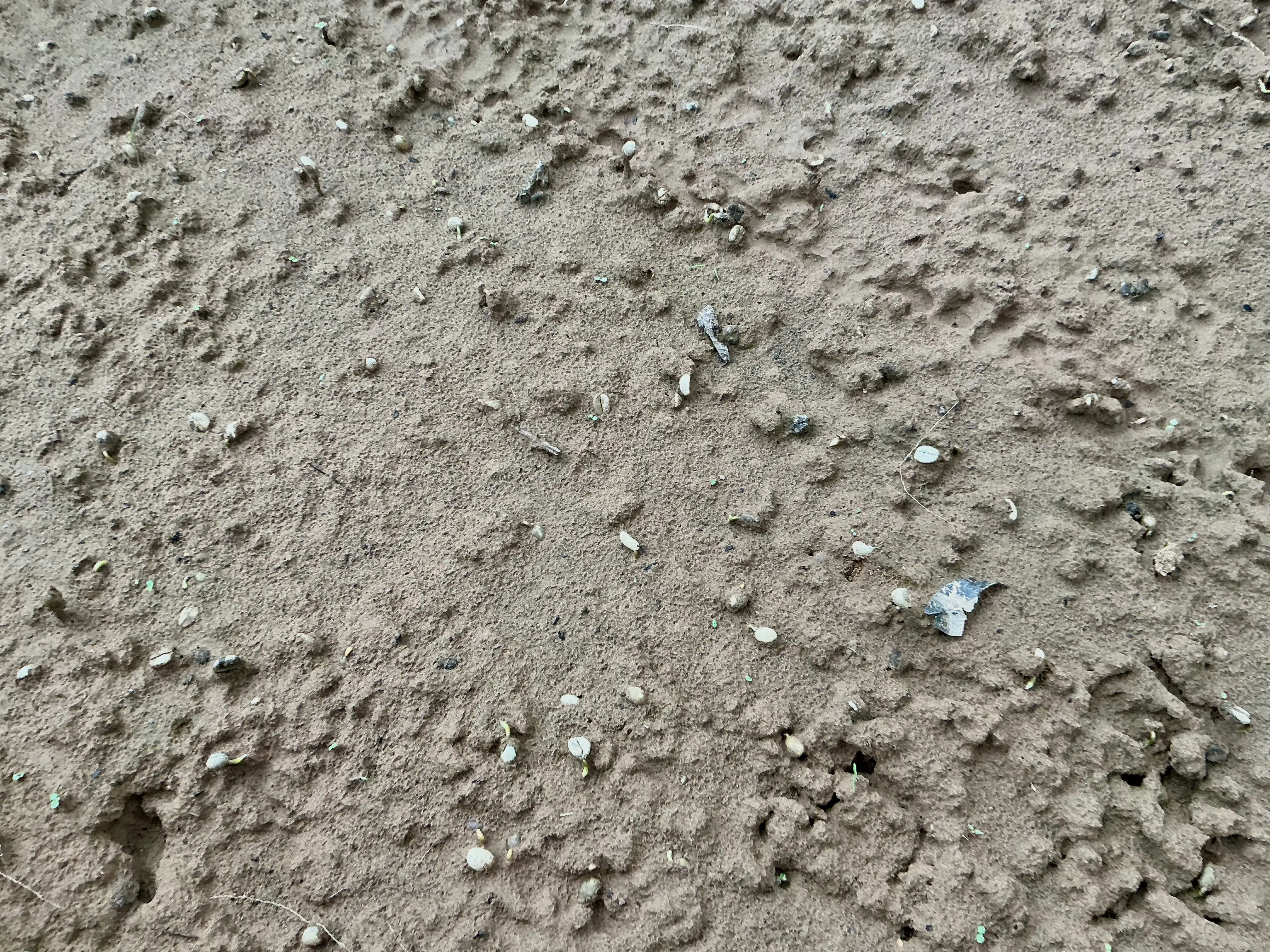 Relaxing app background